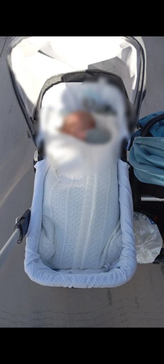 Carro Gemelar Bugaboo Fox 2