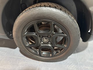 Citroën C4 Cactus PureTech 60KW (82CV) S&S Shine