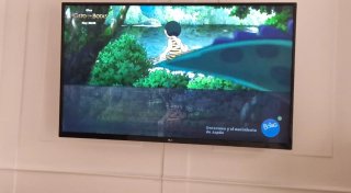 Televisión LG 49