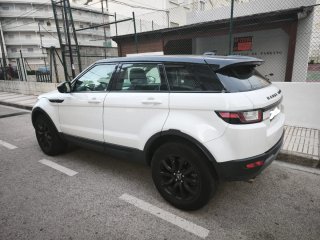 Ranger Rover 2019