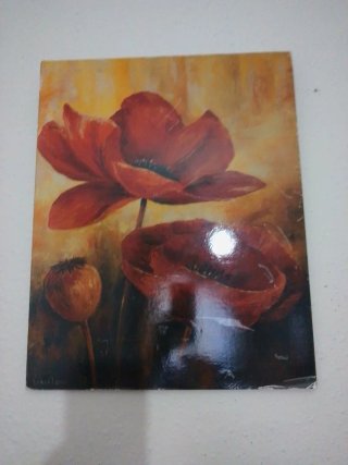 Cuadro Flores Rojas Amapolas