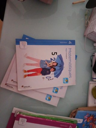 Pack llibres Matematiques 4 primaria