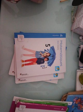 Pack llibres Matematiques 4 primaria