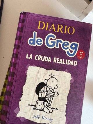 Lote 4 libros Diario de Greg