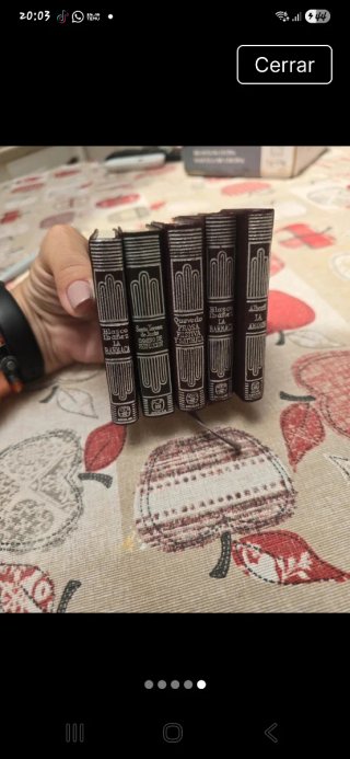 Mini libro coleccion La Barraca