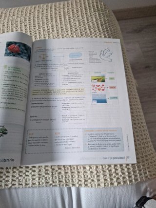 Lengua Castellana y Literatura, 2 ESO, Cataluny...