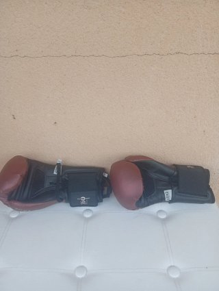 Guantes de Boxeo PWR 12oz