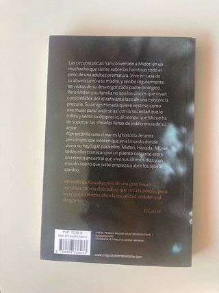 Algo que brilla como el mar – Hiromi Kawakami