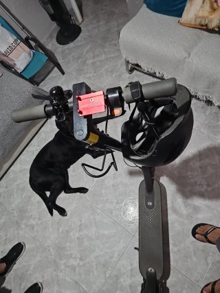 Patinete Eléctrico Xiaomi + Casco Negro