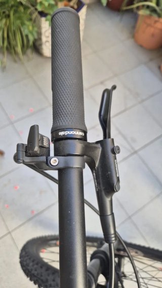 Bicicleta de Montaña Cannondale Trail SL 3 (29”) L