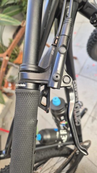 Bicicleta de Montaña Cannondale Trail SL 3 (29”) L
