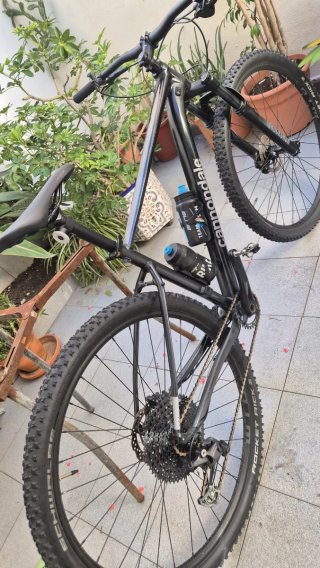 Bicicleta de Montaña Cannondale Trail SL 3 (29”) L
