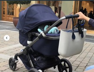 Carro Bugaboo Fox 2 Edición Limitada