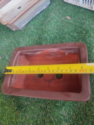 Maceta de terracota para bonsái