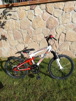 Bicicleta Freerider 20