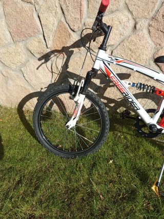Bicicleta Freerider 20
