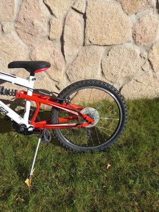 Bicicleta Freerider 20