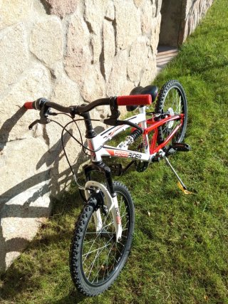 Bicicleta Freerider 20