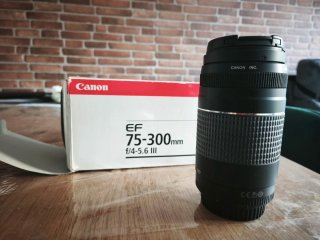 Canon EOS 1100D con objetivos