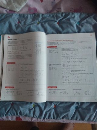 Matemáticas aplicadas a las Ciencias Sociales I...