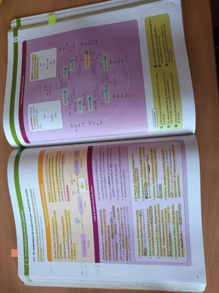Biología, 2 Bachillerato, Proyecto Construyendo...