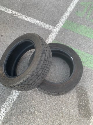 Neumáticos 205/55 R16 91V Nieve