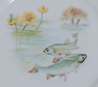 Vajilla Limoges para pescado - 12 platos