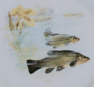 Vajilla Limoges para pescado - 12 platos