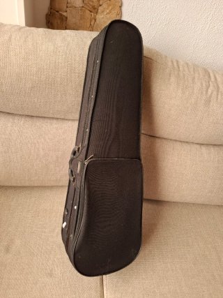 Violín Decorativo con funda y arco