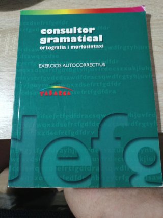 CONSULTOR GRAMATICAL