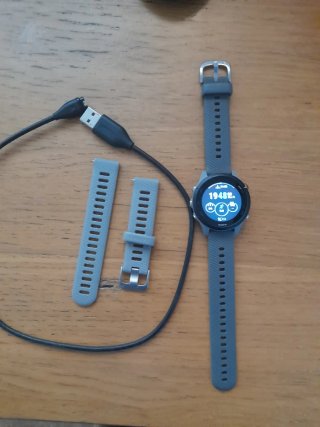 Orologio Garmin Forerunner 255 Grigio + Cinturino