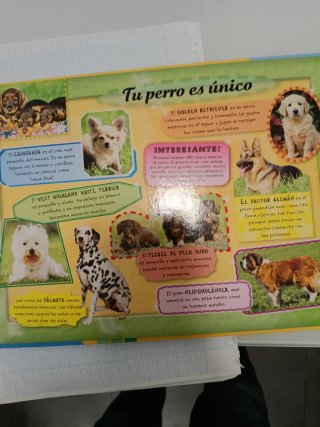 PERRO, EL.(LIBRO-PUZLE)