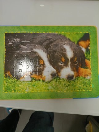 PERRO, EL.(LIBRO-PUZLE)