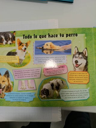 PERRO, EL.(LIBRO-PUZLE)