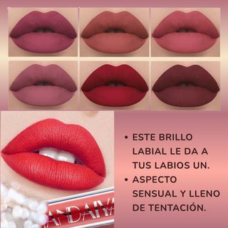 Set 6 Labiales Mate HANDAIYAN Larga Duración-NUEVO