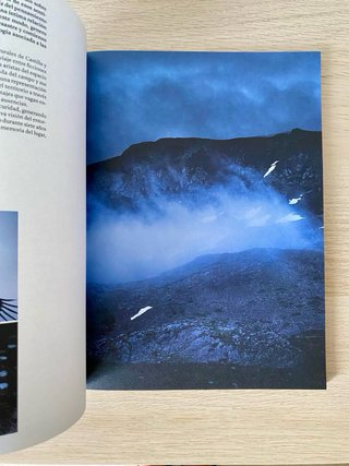 Revista Salvaje n°19