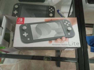Nintendo Switch Lite Gris