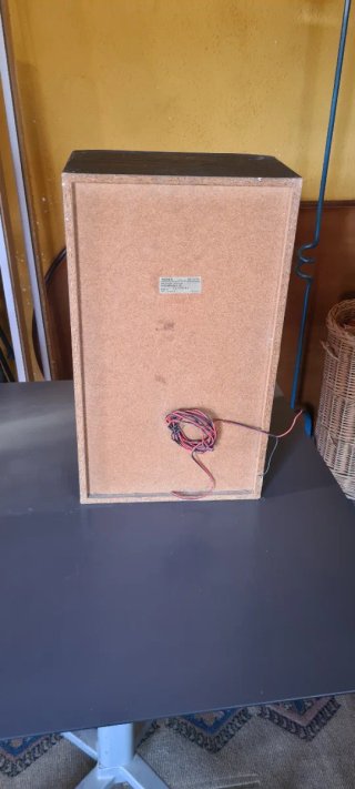 Altavoces Sony Negros y Marrones