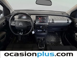 Citroen C4 Cactus BlueHDi 100 S&S Shine 73 kW (100 CV)