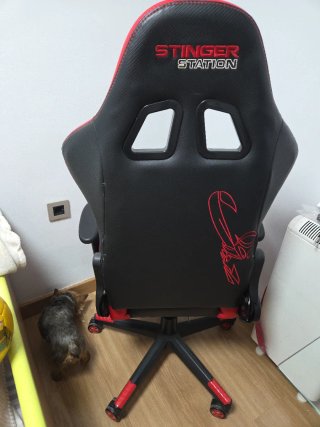Silla Gaming Negra y Roja Woxter Stinger Station