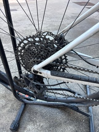 Orbea Alma H10