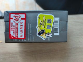 Garmin Forerunner 255 Nuovo