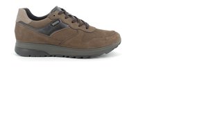 Zapatos Hombre IGI & CO Marrón nuevo