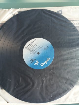 Vinilo The Selecter - Celebrate The Bullet