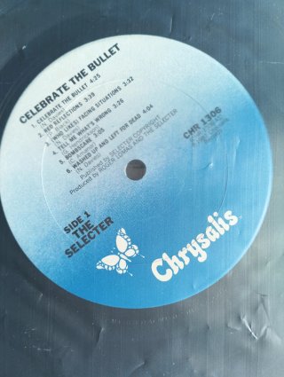 Vinilo The Selecter - Celebrate The Bullet