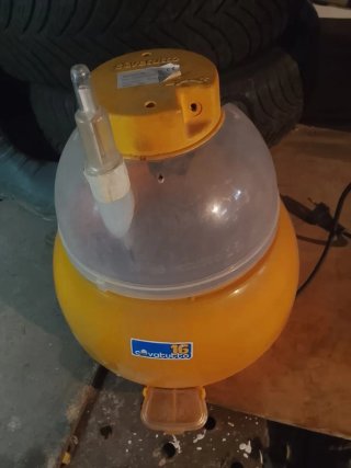 Incubadora Novital COVATUTTO 36