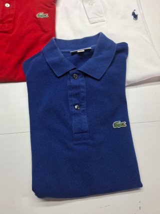 Lote 5 polos Lacoste y Polo Ralph Lauren