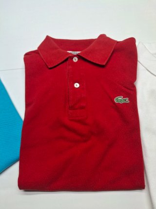 Lote 5 polos Lacoste y Polo Ralph Lauren