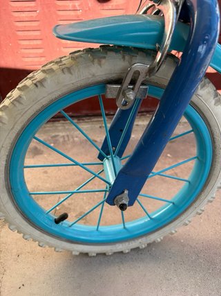 Bicicleta Frozen 14 con ruedines