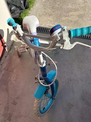 Bicicleta Frozen 14 con ruedines